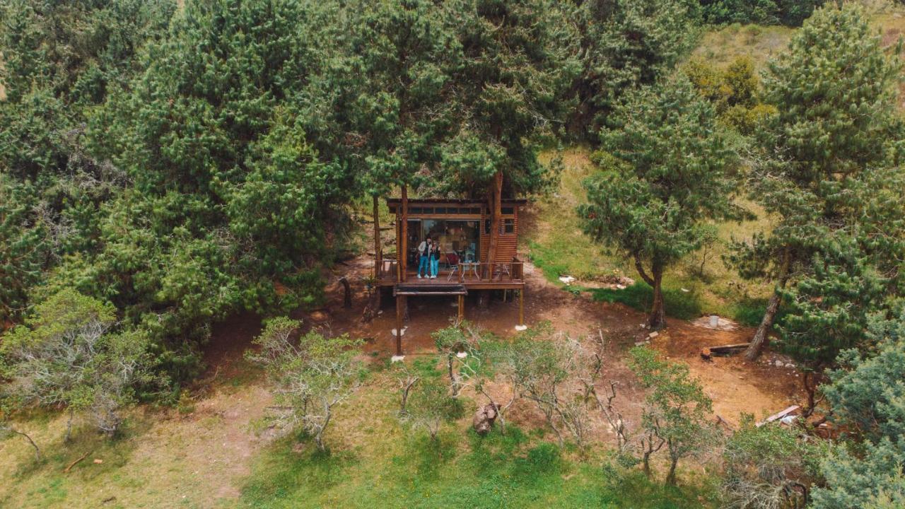 Alma De Campo Glamping - Laguna De Suesca Esterno foto